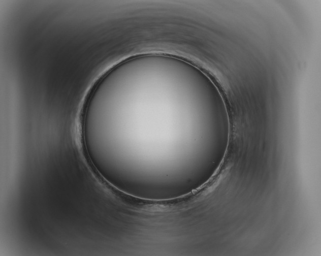X0000102761517200808181058
