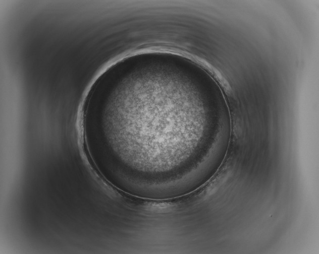 X0000102761522200808181059