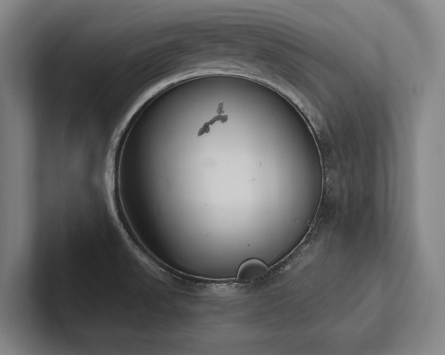 X0000102761523200808181059