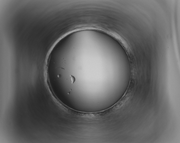 X0000102761524200808181059