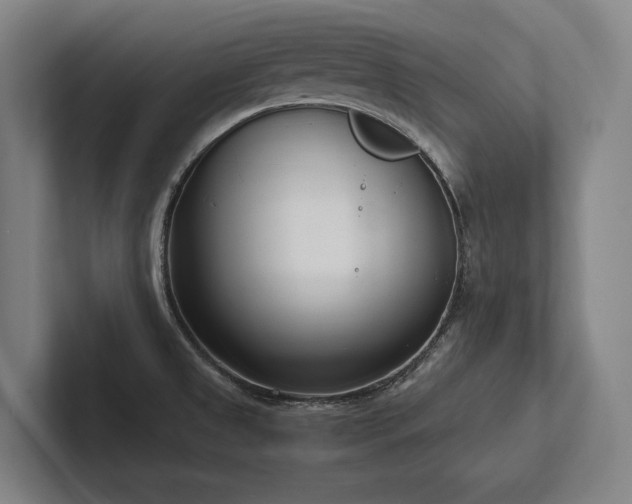 X0000102761525200808181059
