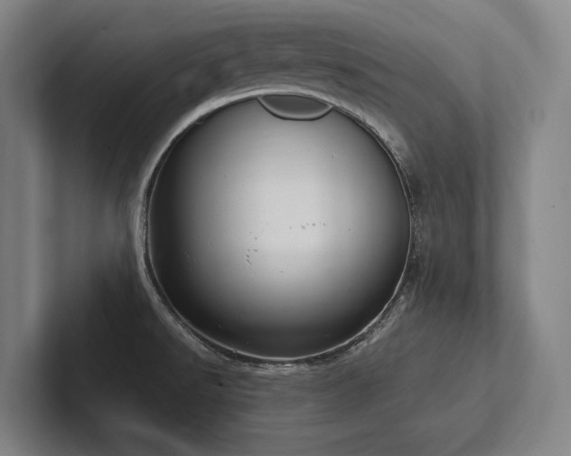 X0000102761526200808181059