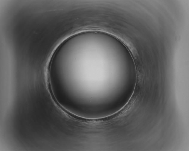 X0000102761527200808181059