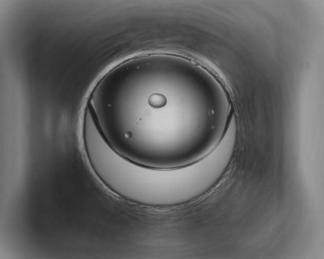 X0000102761528200808181059