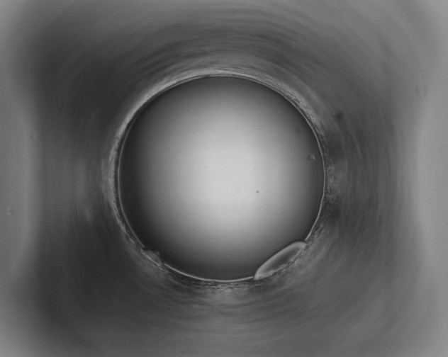 X0000102761530200808181059