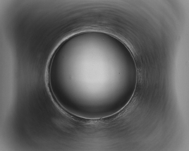 X0000102761531200808181059
