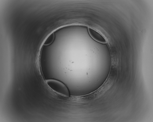 X0000102761532200808181059