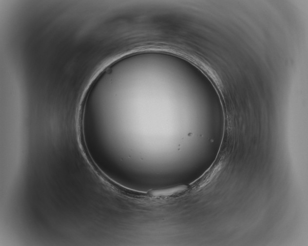 X0000102761533200808181059