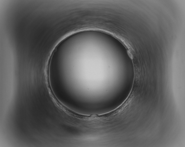 X0000102761534200808181059