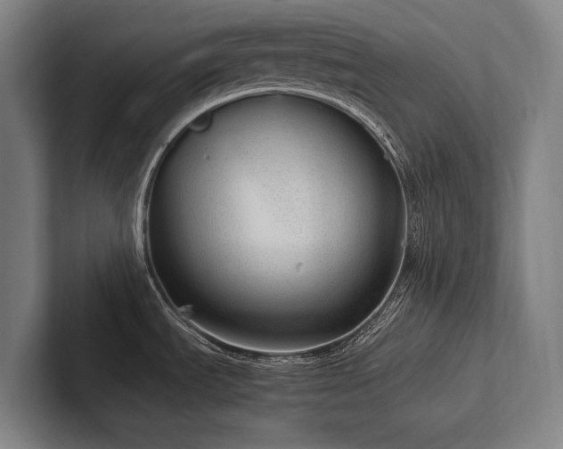 X0000102761535200808181059