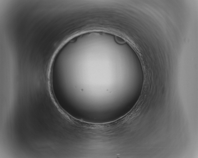 X0000102761536200808181059