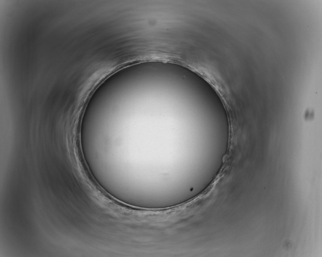 X0000102760001200808251039