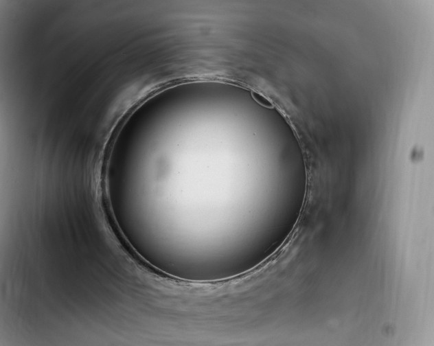 X0000102760002200808251039