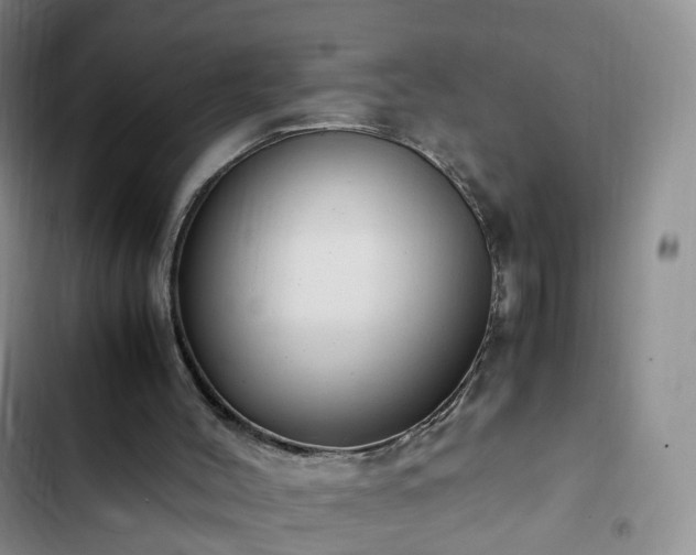 X0000102760004200808251039