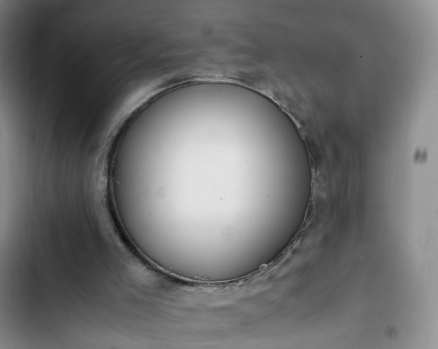 X0000102760005200808251039