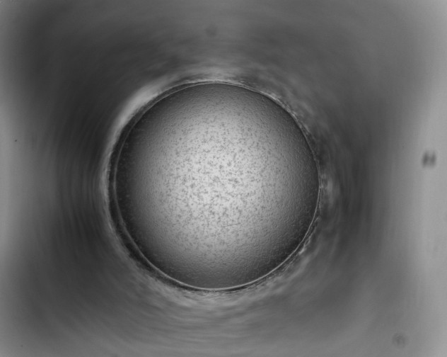 X0000102760006200808251039