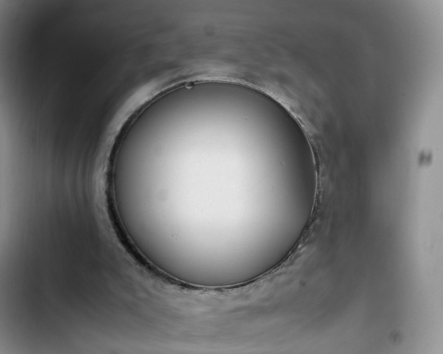 X0000102760007200808251039