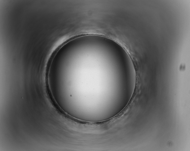 X0000102760008200808251039