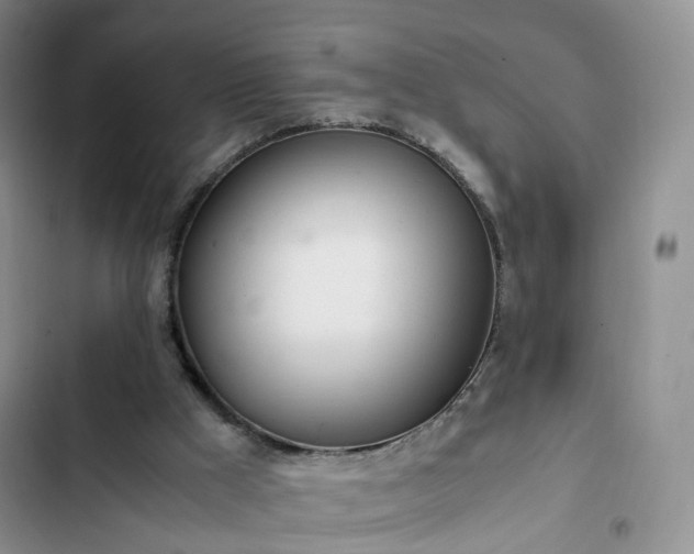 X0000102760009200808251039