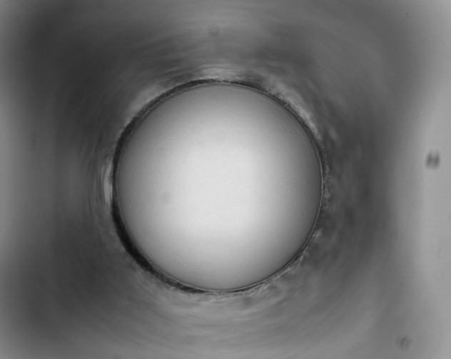 X0000102760011200808251039