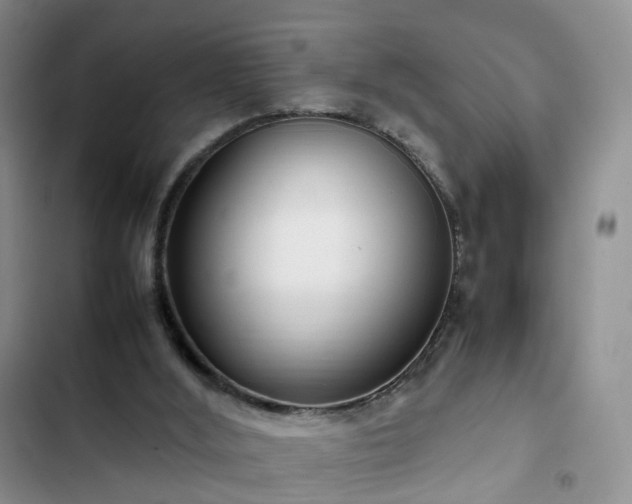 X0000102760012200808251039