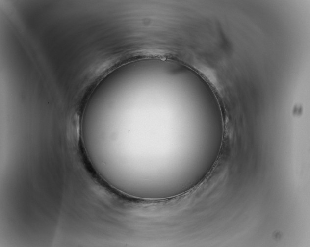 X0000102760013200808251039