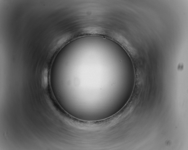 X0000102760014200808251039