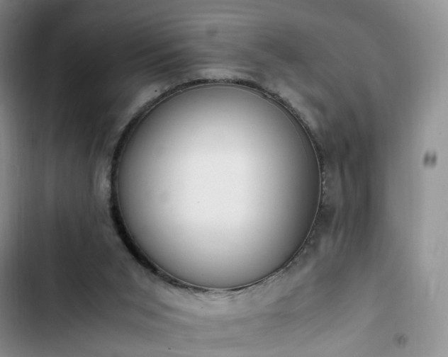 X0000102760015200808251039