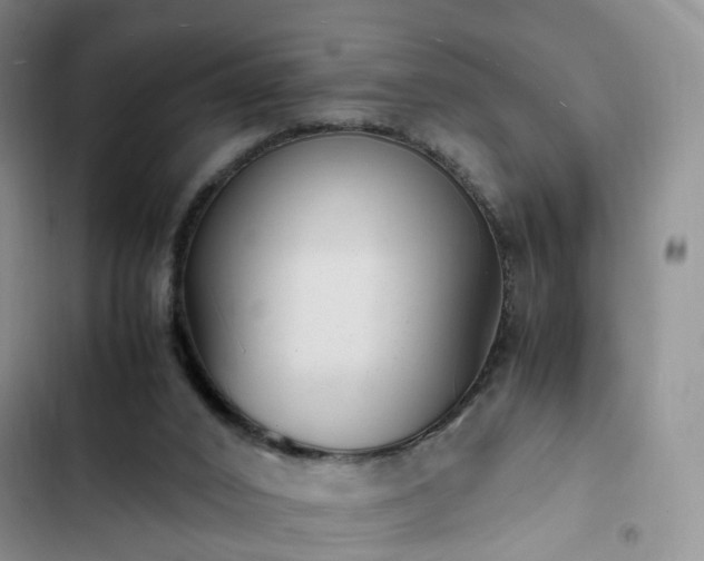 X0000102760016200808251039