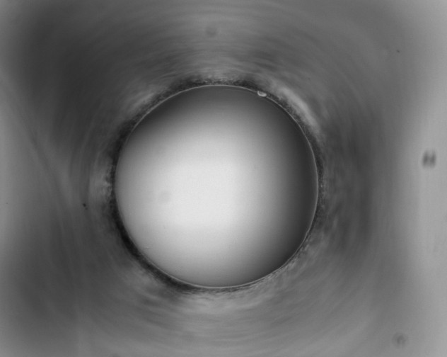 X0000102760017200808251039