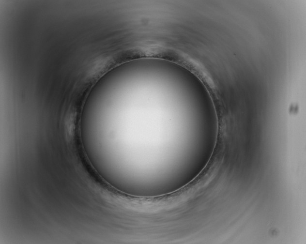 X0000102760018200808251039