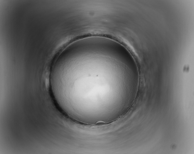 X0000102760019200808251039