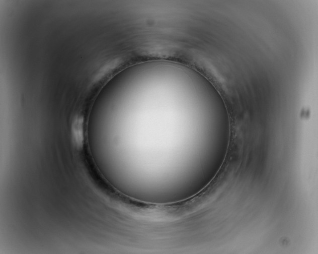 X0000102760020200808251039