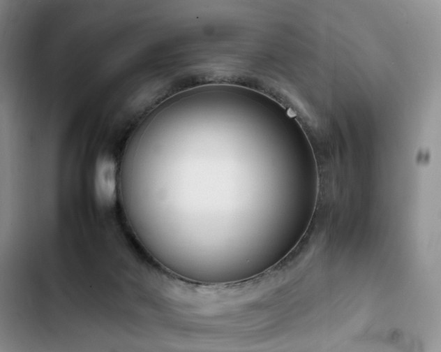 X0000102760022200808251039