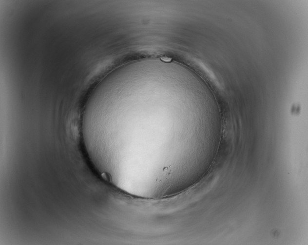 X0000102760023200808251039