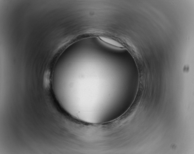 X0000102760024200808251039