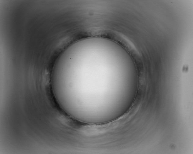 X0000102760025200808251039