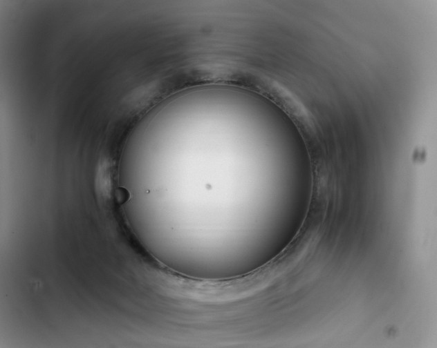 X0000102760026200808251039