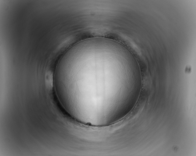 X0000102760027200808251039