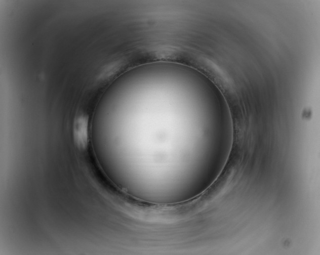 X0000102760028200808251039