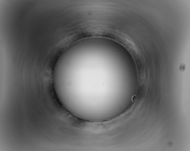 X0000102760029200808251039