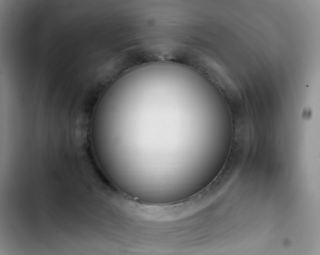 X0000102760030200808251039