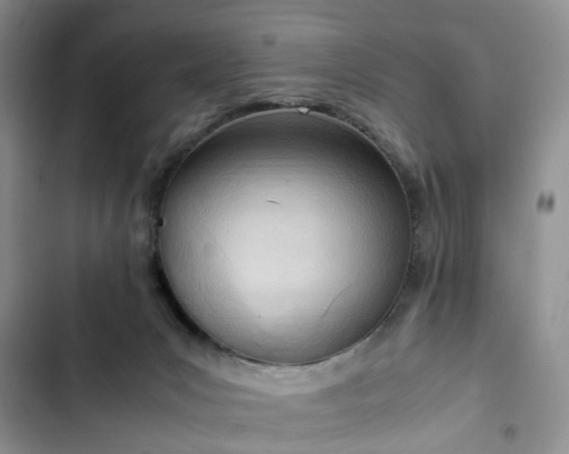 X0000102760031200808251039