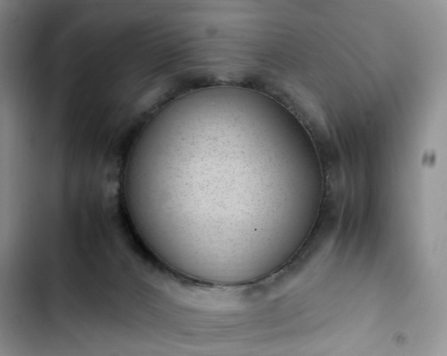 X0000102760032200808251039