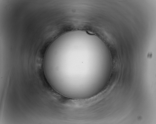 X0000102760033200808251039