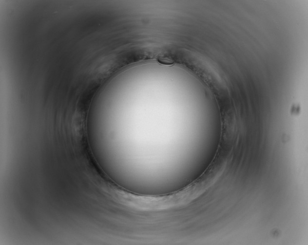 X0000102760034200808251039