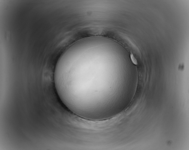 X0000102760035200808251039