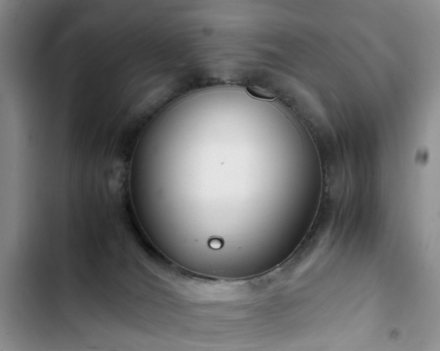 X0000102760036200808251039