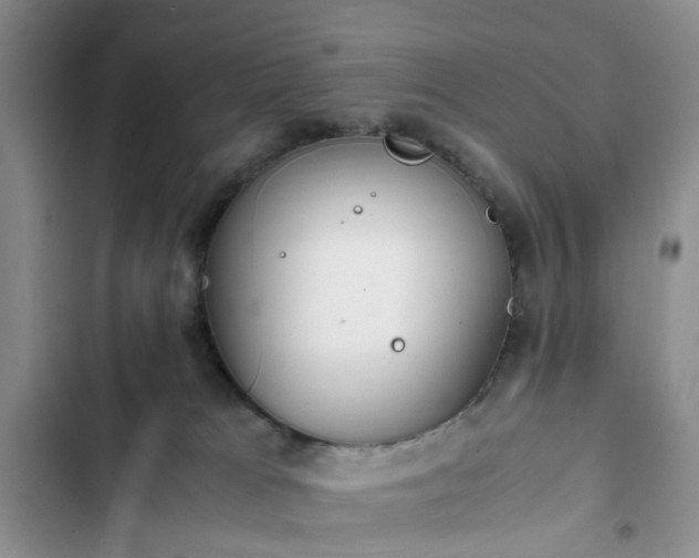 X0000102760037200808251039