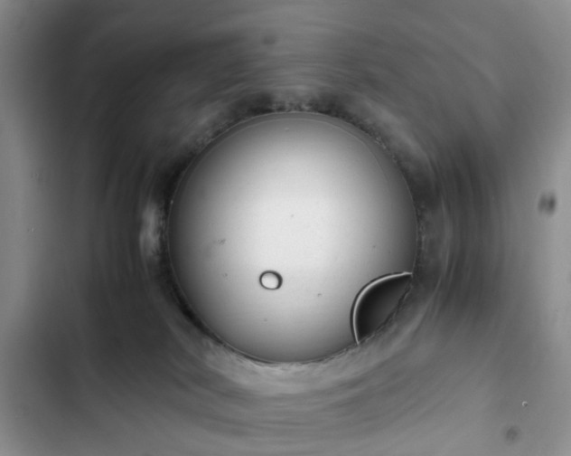 X0000102760038200808251039